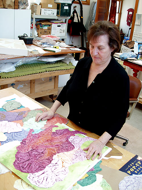 Susan Grabel in her studio