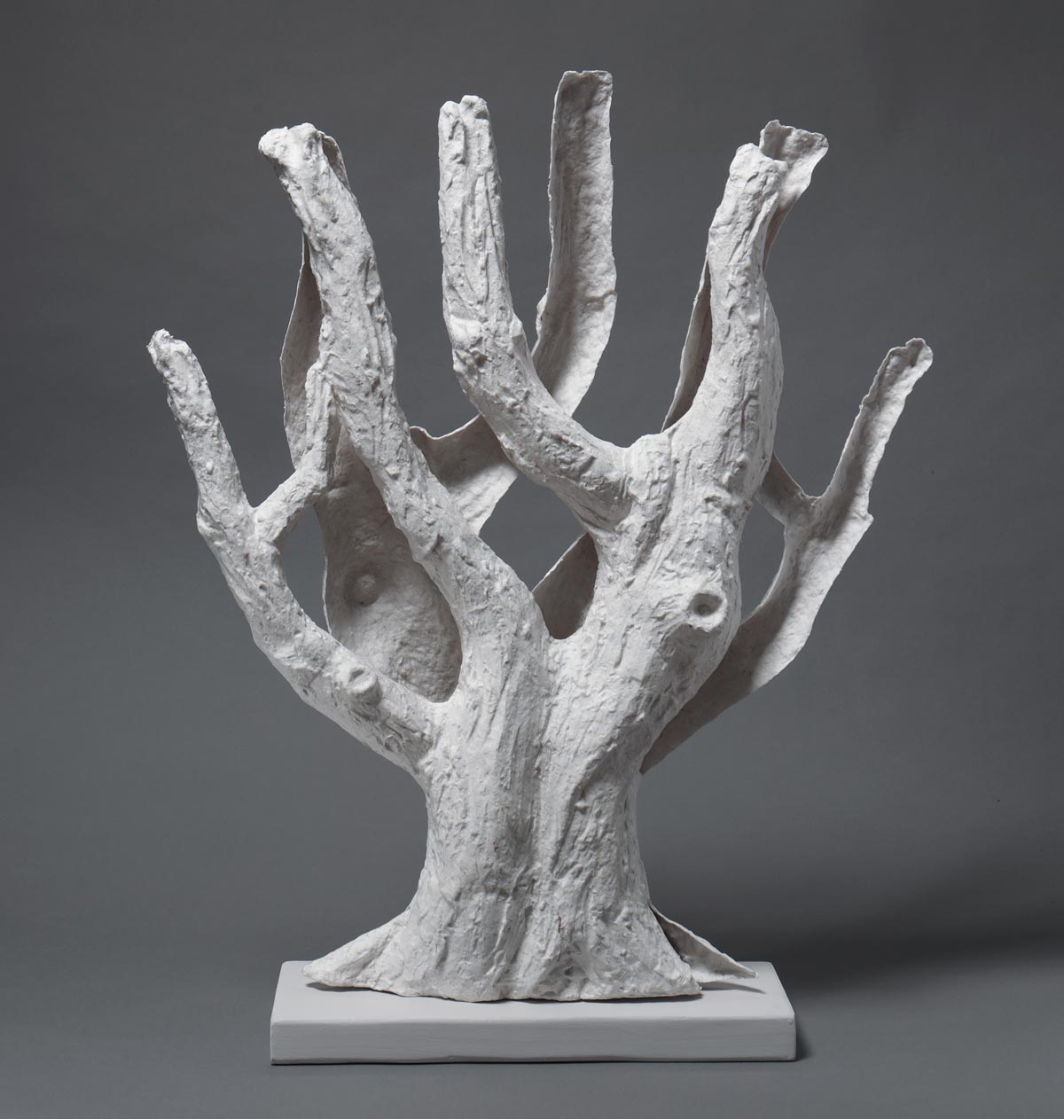 Spirit Tree #1