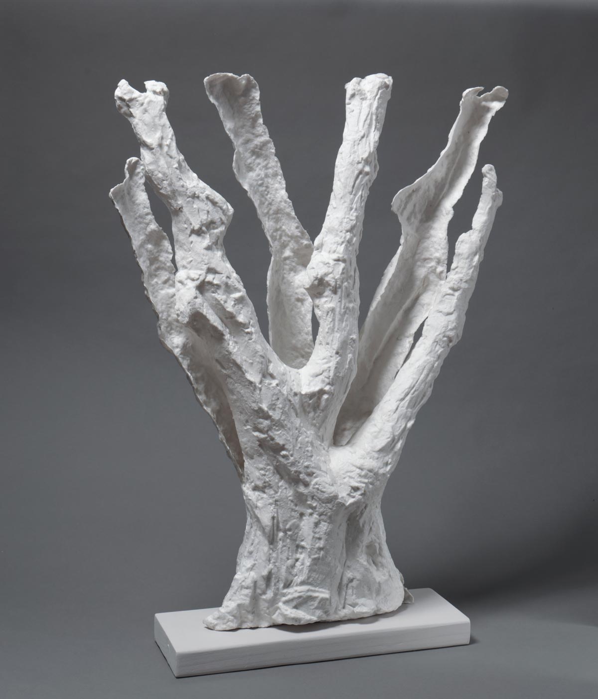 Spirit Tree #2